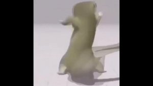 Хочу в тренд Хочу в топ Тики Ток