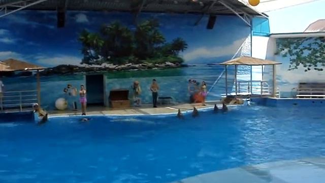 Анапа. Дельфинарий на Пионерском проспекте, июнь 2017 год (3) смотреть онлайн