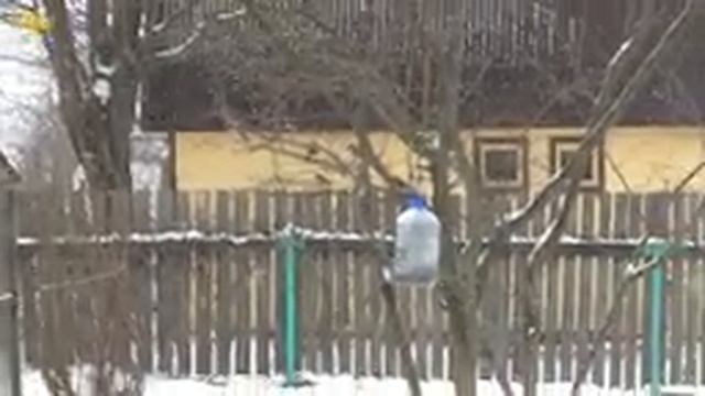 УЛЕЙ ЛЕЖАК НА 24 РАМКИ СВОИМИ РУКАМИ