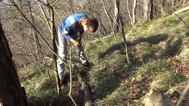 The FIREWOOD ep.3: Fiskars X21 work in forest, gathering ASH FIREWOOD! смотреть онлайн