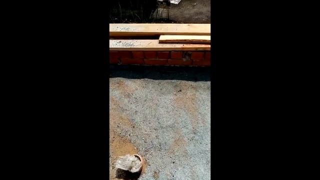 Как построить живую баню смотреть онлайн