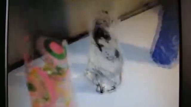 Полипропиленовые вазы (часть 2).MOV смотреть онлайн