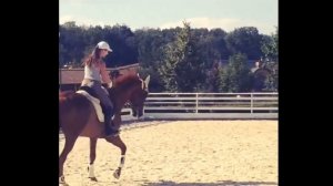 СУДЬБА СПОРТИВНОЙ ЛОШАДИ ?СКОЛЬКО СТОИТ КОННАЯ КАРЬЕРА // КСК Отрада// КОНОГОЛИКИ