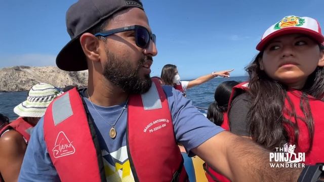 Penguin Islands of PERU & Paracas National Park ! Much cheaper than Chile смотреть онлайн