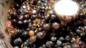 Натуральный сок из винограда. Легко.