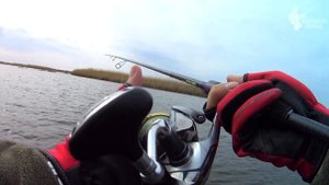 Браконьеры не дали половить рыбу! Рыбалка в Волго-Ахтубинской пойме