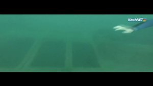 Водолазы исследовали затонувшее судно "Жан Жорес"