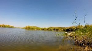 Насаживание червя на крючок.Рыбалка.Fishing