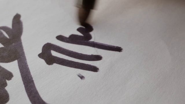 Петрович приветственное видео смотреть онлайн