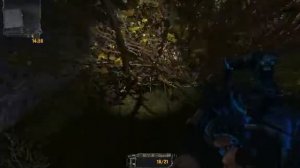 Тайные тропы 2:Поиск 3 шлема для Зверобоя