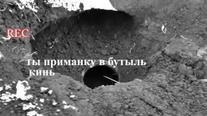 Как поймать крота самый эффективный метод but how to catch a mole