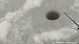 КАРЕЛИЯ РЫБАЛКА СЯМОЗЕРО НАЛИМ!!!