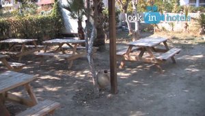 More Hotel 3* (Море Отель) - Kemer, Turkey (Кемер, Турция)