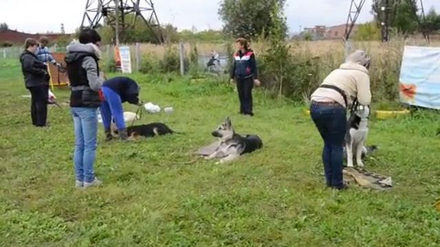 ОКД смотреть онлайн