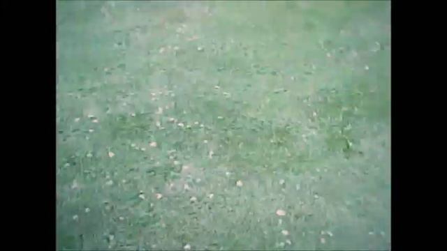 Q 998 V2 Quadrocopter Flug in Kirchentellinsfurt am See смотреть онлайн