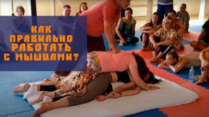 Как правильно работать с разными группами мышц на примере.