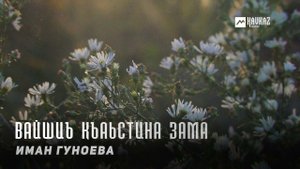 Иман Гуноева - Вайшиъ къаьстина зама | KAVKAZ MUSIC CHECHNYA