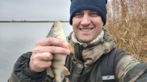 Ловля окуня. Дугино