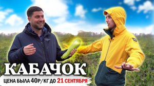 Что происходит с кабачком?// Очередная сельхоз рулетка