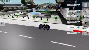 How to use free cam in Brookhaven (PC)