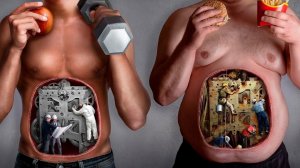 Наше тело - Итересные факты