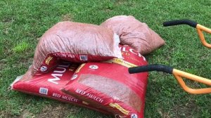 США: FLORIDA ЗИМА В АМЕРИКЕ, ЖИЗНЬ В АМЕРИКЕ, КАК ЖИВУТ ПРОСТЫЕ АМЕРИКАНЦЫ. МОЙ ЗАДНИЙ ДВОР-2