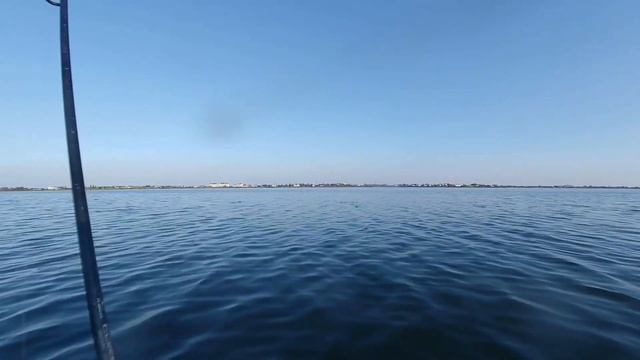 ПЕЛЕНГАС В БЕРДЯНСКЕ. ЛОВИМ КИЛОГРАММОВЫХ ПЕЛЕНГАСОВ