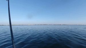 ПЕЛЕНГАС В БЕРДЯНСКЕ. ЛОВИМ КИЛОГРАММОВЫХ ПЕЛЕНГАСОВ