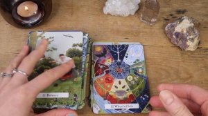 WITCHES WISDOM TAROT BY PHYLLIS CUROTT | UNBOXING, WALKTHROUGH & READING | EMILY'S TAROT MAGICK