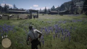 Red Dead Redemption 2 - Mission #89 - Farming, for Beginners [Gold Medal]