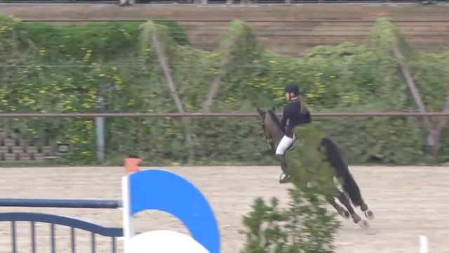 Rieger Nicole & Willem SW, CSI*** 140 смотреть онлайн