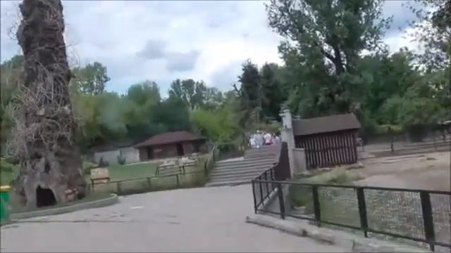 Верблюды Варшавы  Camels of Warsaw смотреть онлайн