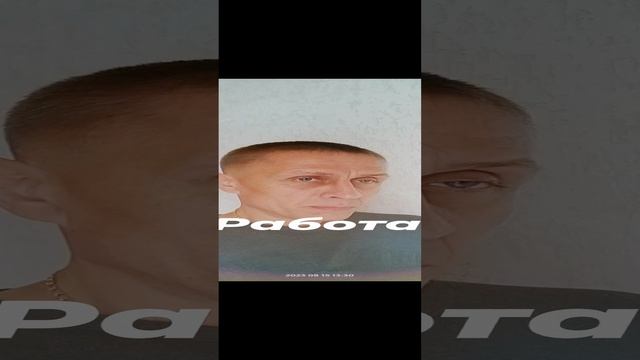 Работа. Сон.
