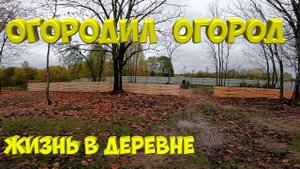 Огородил огород. Забор плетёнка .[Жизнь в деревне]