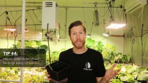 LECA Care Tips for 2023 - 5 Semi Hydroponics Tricks