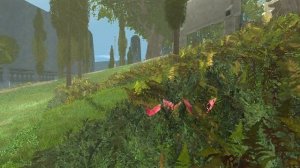 EQ2 | Attention To Detail | Comparison & Feedback | Flora | Part 1