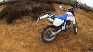 BETA ALP 4.0 VERSUS SUZUKI DR 350