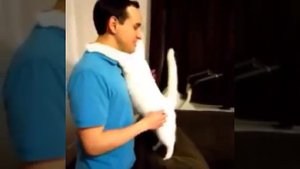 Вот как животные любят хозяев