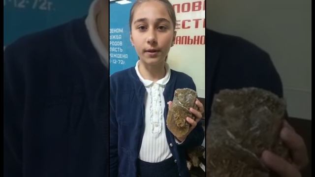 Видео-экскурсия Природного отдела музея  "История моего населенного пункта".mp4
