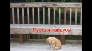 Берегите животных