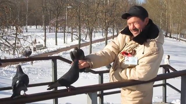 Яуза Медведково. Москва. Ручные голуби. смотреть онлайн