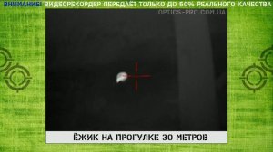 ? Прицел PARD SA-35 LRF ? Ночной тест тепловизора с дальномером