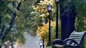Петербургские фонари