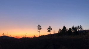 Отшельник Виталий. ПЕСНЯ Рощи