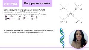 Водородная связь за 9 минут | ХИМИЯ ЕГЭ | СОТКА