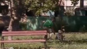 Возвращение Мухтара Задержание N_11