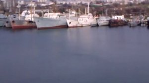 Севастополь. Стрелецкая бухта. Выныривают дельфины)))