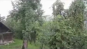 Крис Сфирис   Музыка дождя