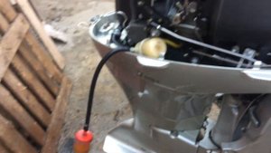 Honda 50