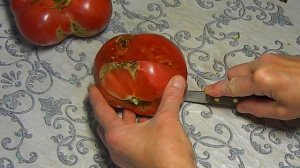 Томат Кишиневские. Тест спелых плодов.